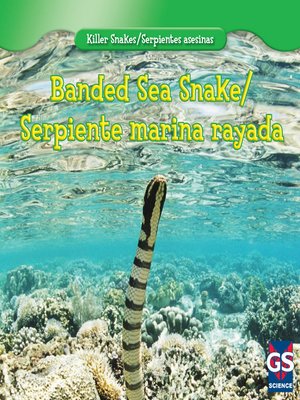 cover image of Banded Sea Snake / Serpiente marina rayada